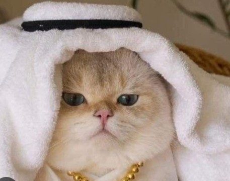 Foto ucapan